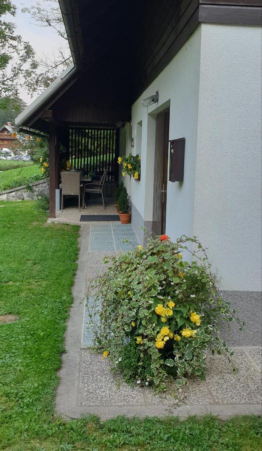 Apartment Sonce Bohinj Ngoại thất bức ảnh