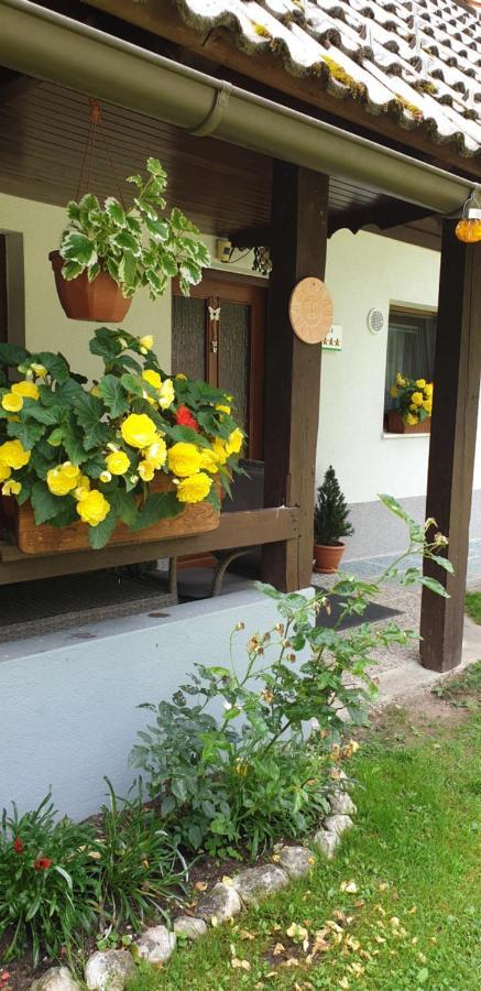 Apartment Sonce Bohinj Ngoại thất bức ảnh